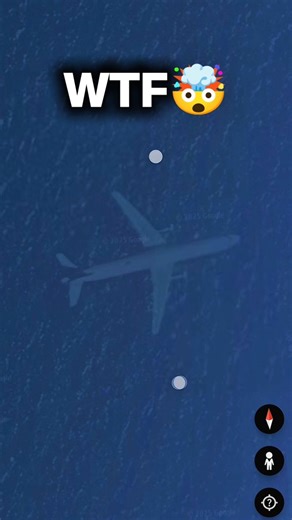 Plane inside sea in US 🤯 #shorts #googleearth
