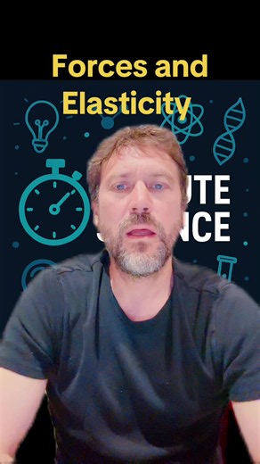 Forces and Elasticity explained for GCSE Physics