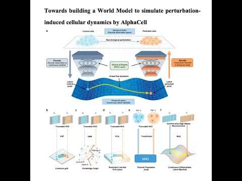 742-AlphaCell: for Simulating Cellular Perturbation Dynamics