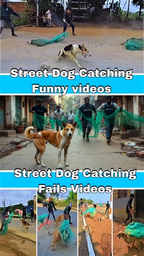 Gojo Dog Vs Monster Catcher Funny Time 🤣 #funny #gojo #monster #dog #dogwithpublicsafety