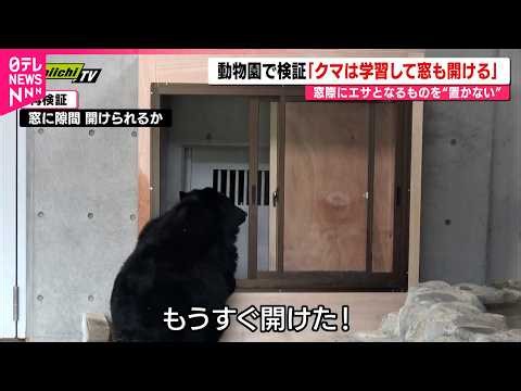 【検証】クマは窓も開ける！蛇口から水も 住宅地への出没相次ぐ熊の学習能力と対策　静岡　NNNセレクション
