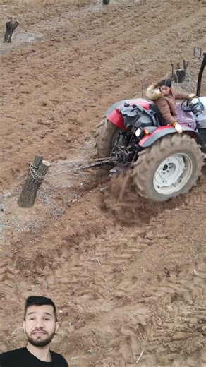 Can This Tractor Really Pull Out Tree Roots? #shorts #viralvideo #youtubeshorts