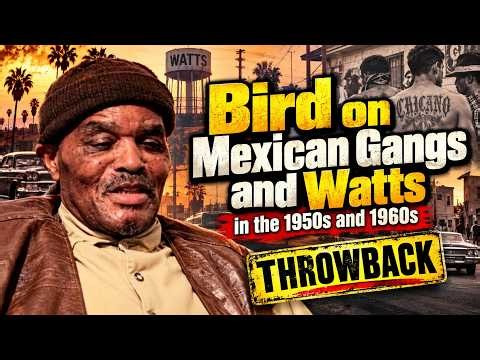 Mexican Gangs and Watts: A Deep Dive Into The History