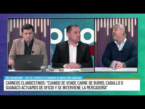 Qué pasa cuando detectan carne de caballo, burro o guanaco a la venta en San Juan