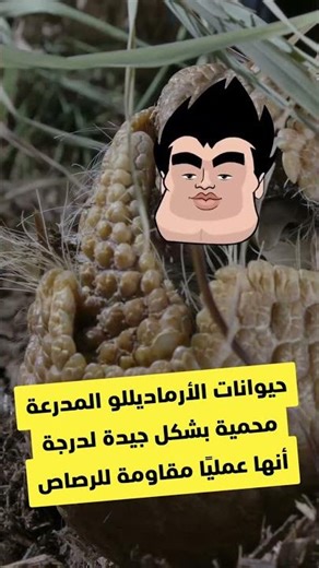 تعرفوا على أقوياء الطبيعة 🤩 #أبطال_المناخ #كرتون_نتورك #ClimateChampions #CartoonNetwork