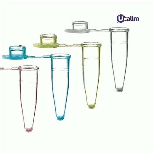 The Color Code of PCR Tubes: Function in a Rainbow