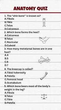 Anatomy quiz