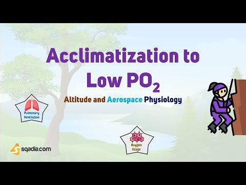 Altitude and Aerospace Physiology | Acclimatization to Low PO2