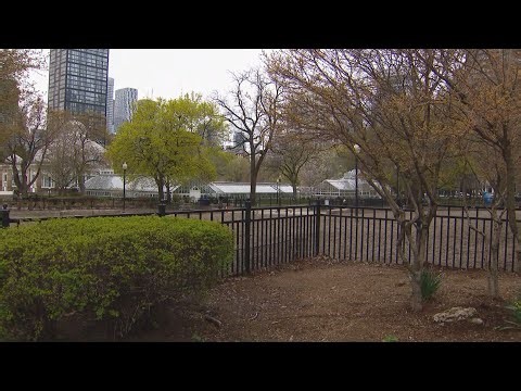 Toronto reports a 70% reduction in encampments