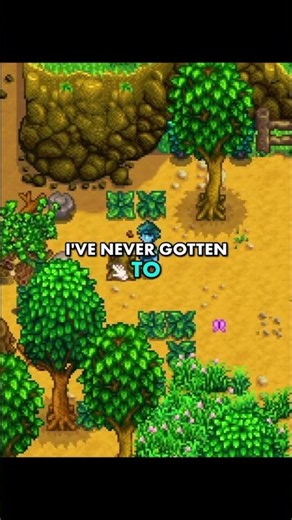 Early game in Stardew