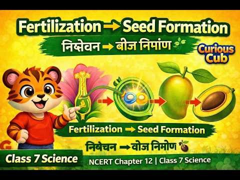 Fertilization and Seed Formation in Plants | Class 7 Science | NCERT Chapter 12 | Curious Cub✅