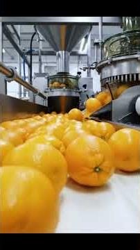 How Millions of Oranges Are Turned Into Orange Juice