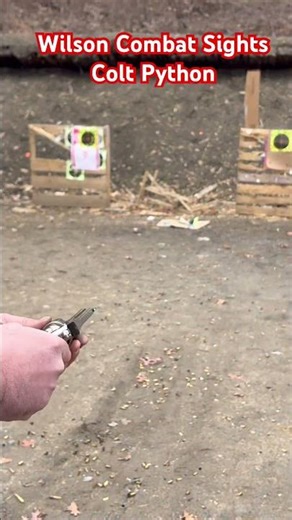 Colt python new sights Wilson combat
