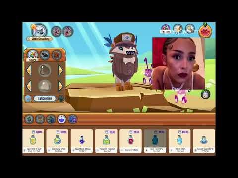 letting strangers in animal jam tell me what to do…