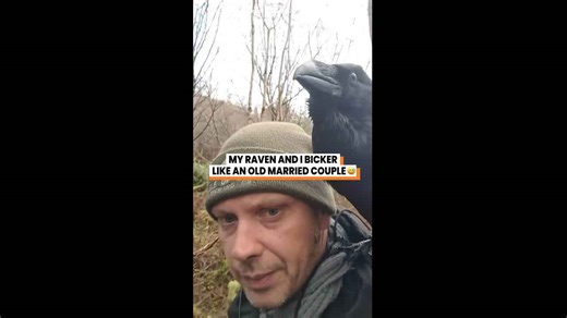 This man and his raven argue like a married couple
