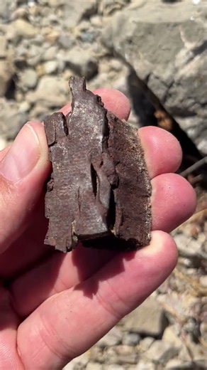 Shrapnel saturated ground - Iron hail - Artillery fire in the archaeological record - WWII