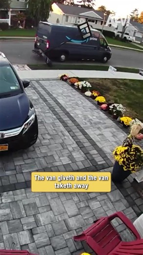 Delivery and retrievery 😂 #afv #fail #funnyvideos | dog delivery