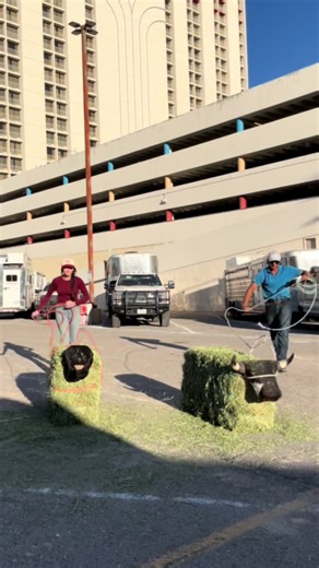 Rank racks for rank loops 😮‍💨 @Rank Racks @Maverick #rankracks #teamroping #breakaway #viral #fyp