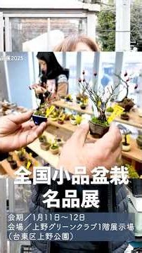 今週の名品展でセールする盆栽たちの紹介！【1月11日～12日】