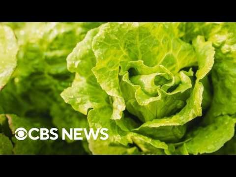 Health officials pinpoint source of the diarrhea-causing parasite cyclospora