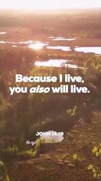 Today’s Scripture | Daily Bible Verse & Encouragement | Life Media Networks