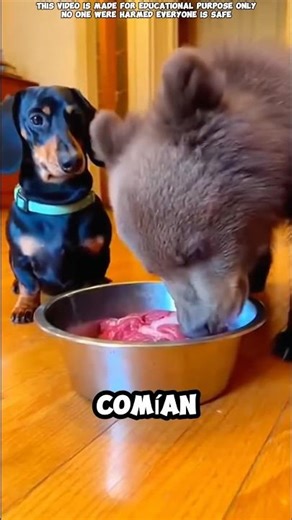 A puppy's best friend was a bear 🐶🐻 #shortvideo