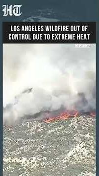 1,300 Acres In Flames: Los Angeles Wildfire Races Into Angeles National Forest | California #shorts