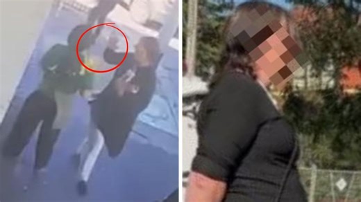 Robot waiter goes haywire in US restaurant