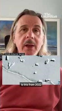 How mass drowning of chicks is putting emperor penguins at risk of extinction