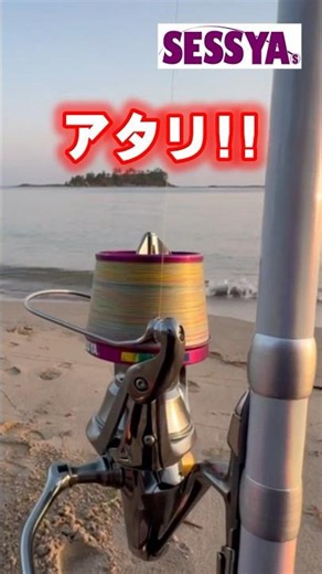 【キス釣り】仕掛け交換の極意！爆釣の決め手は鈎の使い分け！