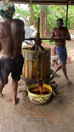 PALM OIlL KAISE BANTA HAI 🌴🥥 #palmoil
