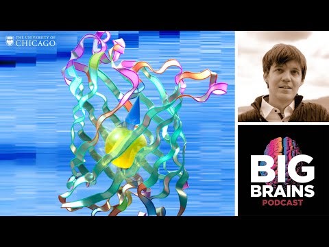 The Breakthrough Quantum Sensor That Sees Inside Your Cells, with Peter Maurer