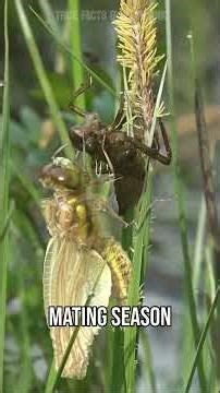 its like a line from a poem...