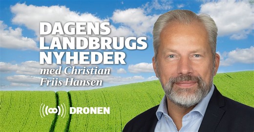 En af landets største grøntsagsproducenter lukker, hvis nye kvælstofkrav gennemføres