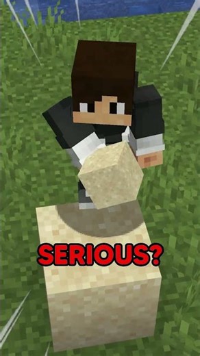 Minecraft, But If I Touch Grass, It Turns More Realistic…