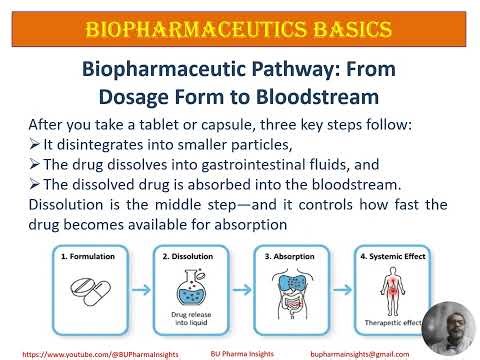 Dissolution 2/70: 2. Biopharmaceutics Basics: Why Dissolution Testing Matters