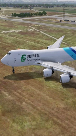 Most SHOCKING Emergency Landings in Plane History?