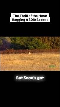 The Thrill of the Hunt: Bagging a 30lb Bobcat