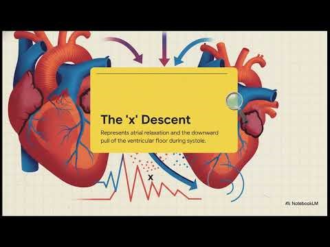 Cardiology 4: Diagnosis from the Neck - JVP Assessment and Waveform Secrets