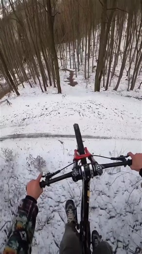 Winter Mountain Biking Adventures: Enjoy the Thrill