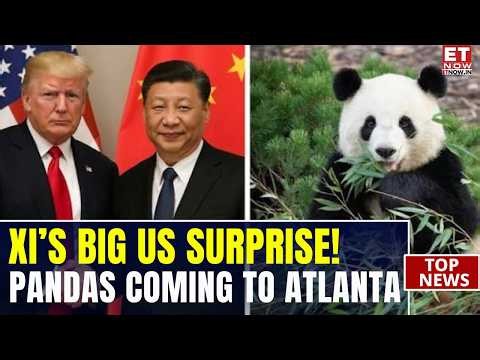 Trump-Xi Summit Gets A Panda Twist! Xi Sends Two Giant Pandas To US Zoo As Friendship Gesture