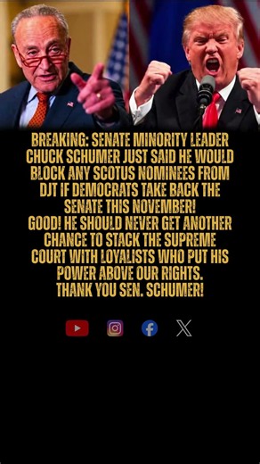Sen. Chuck Schumer said stopping Trump from putting more MAGA judges on the courts