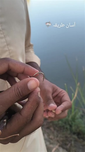 Easy Shark Fishing Technique — Catching Sharks with a Hook