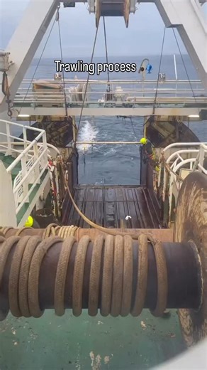 Engineering | Science | Technology on Instagram: "Trawling is a fishing method where a large net is dragged through the water to catch fish and other sea life 🐟🌊 There are two main types: • Bottom trawling: the net is pulled along the seafloor, catching species like shrimp and cod — but it can damage coral reefs and ocean habitats. • Midwater (pelagic) trawling: the net is dragged through open water, targeting fish like tuna or mackerel, with less impact on the seabed. Trawling is efficient an