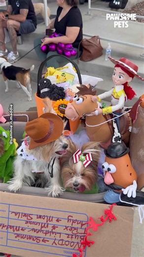 Dog Mom Discovers Creative Way to Dress Up Her Three Dogs as Beloved Toy Story Characters