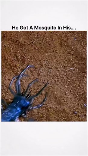 The Cineverse ✨ on Instagram: "Title: Evolution 👾🌍 Director: Ivan Reitman 🎬 Genre: Sci-Fi, Comedy, Action 🚀😂 Runtime: 101 minutes ⏱️ Language: English 🇺🇸 Release Date: June 8, 2001 📅 Cast: David Duchovny, Orlando Jones, Julianne Moore, Seann William Scott ⭐ Storyline: A meteor crashes in Arizona, unleashing rapidly evolving alien life forms. Two college professors, a firefighter cadet, and a government scientist must band together to stop a full-on alien takeover — using shampoo and blea