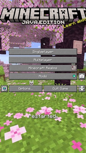 Can’t Join Servers on Minecraft Java Fix