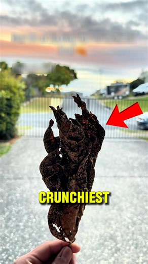 What Happens If You Crunch the Loudest Leaf Ever? 🍂🔊🤯 #shorts
