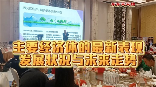 主要经济体的表现及趋势