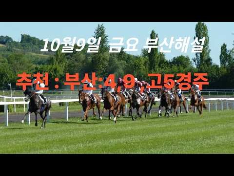 10월9일 금요 부산해설방송